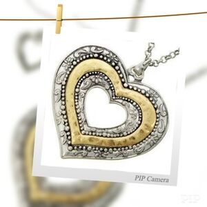 Two Tone Heart Necklace Set